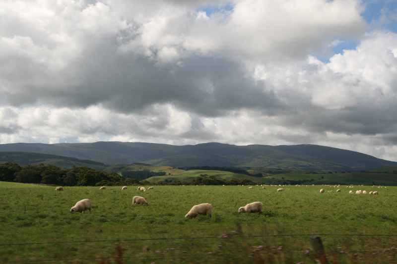 Nieuw-Zeeland 2011 - 1746